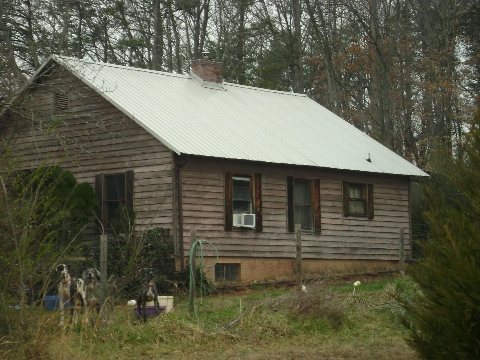 White metal roof on an old wood sided farmhouse, from a Asphalt Shingle Roof Repair job in Harrington